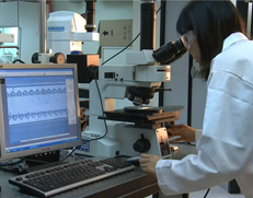 壹号平台注册链接_壹号平台下载安装首页